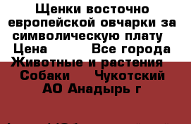 Щенки восточно европейской овчарки за символическую плату › Цена ­ 250 - Все города Животные и растения » Собаки   . Чукотский АО,Анадырь г.